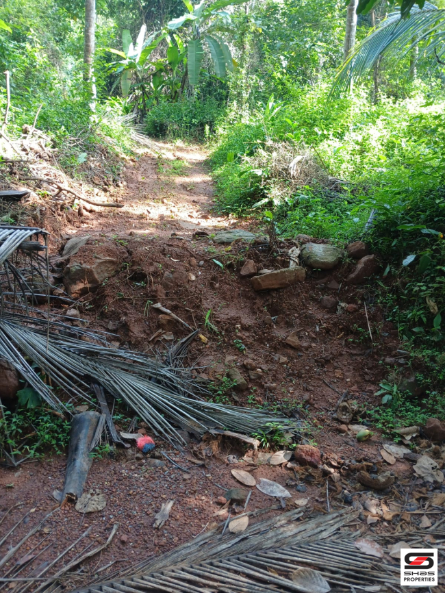 Layout land for sale at Kuruvattoor, Kozhikode