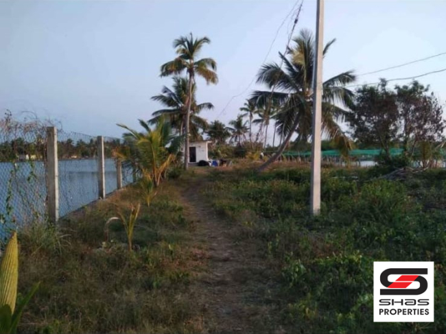 Fish farm for sale in Chellanam, Kochi