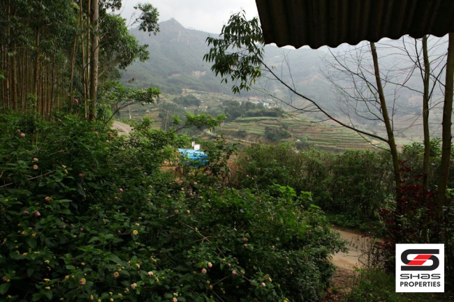 Resort land for sale in Vattavada, Idukki