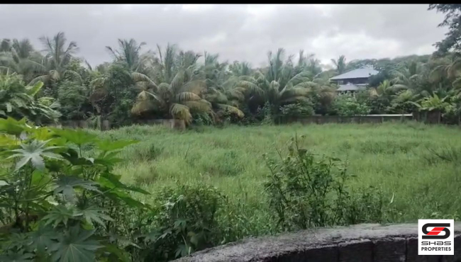 Plot for sale in Olavakkode, Palakkad