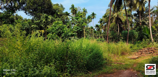 House plot for sale in Mannarkkad, Palakkad