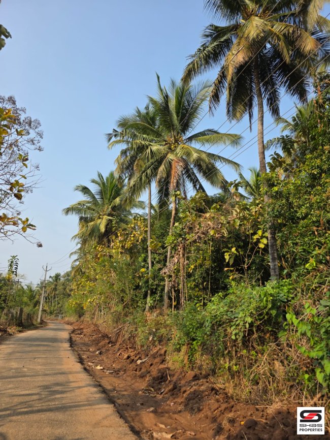 Farmland for Sale in Chammnampathy, Palakkad