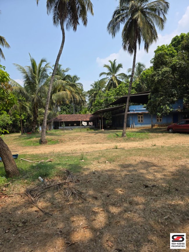 Farmland with House for Sale in Chittur, Palakkad