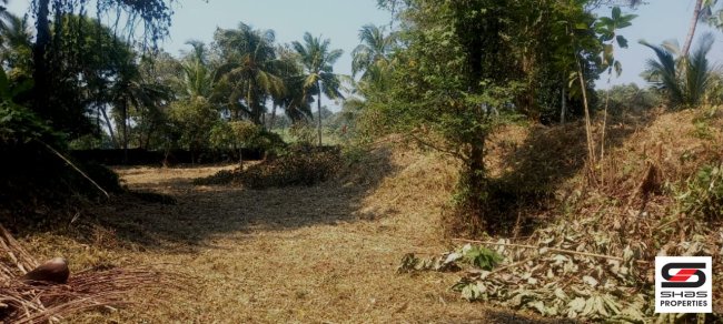 House plot for sale in Puthucode, Palakkad