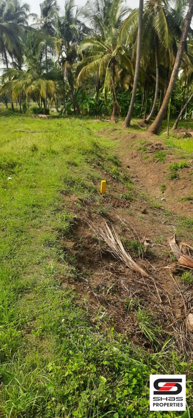 Farmland for sale in Chittur, Palakkad