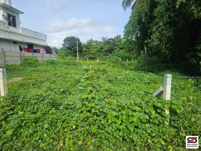 House plots for sale in Kallekkad, Palakkad