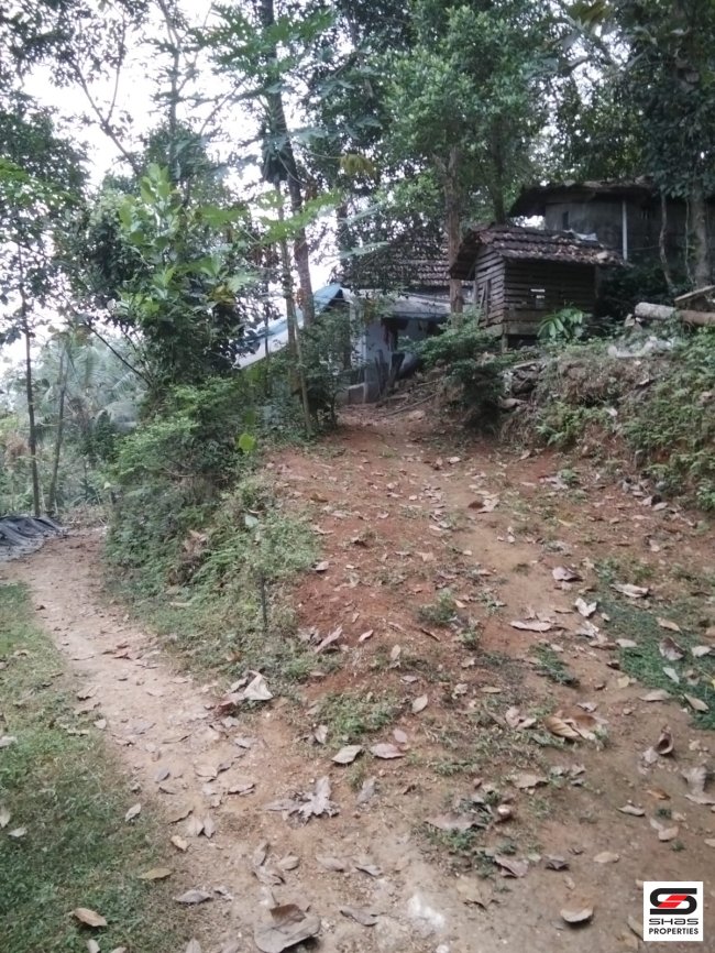 Land for sale in Thodupuzha, Idukki