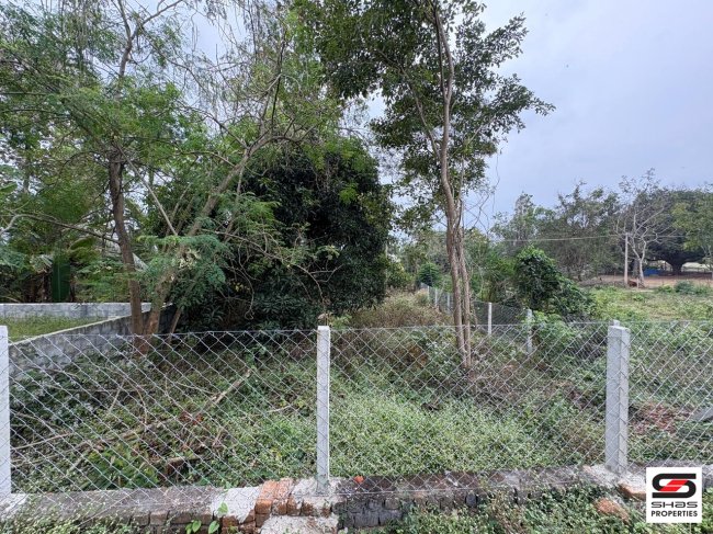 House plot for sale in Pattanchery, Palakkad