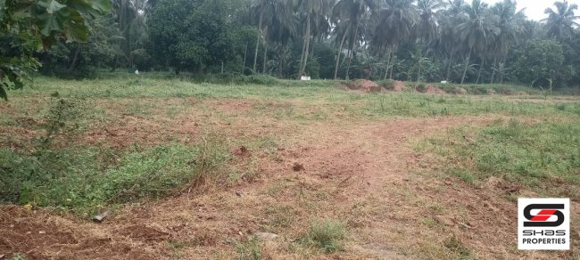 Land for sale in Nallepilly, Palakkad
