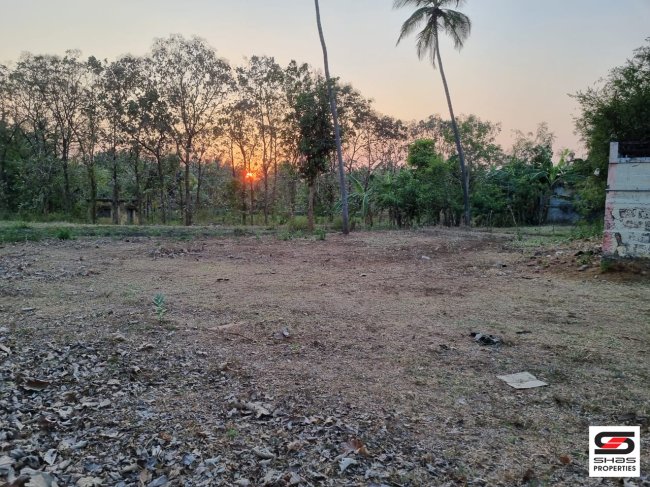 House plot for sale in Nallepilly Road, Palakkad