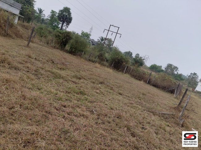 Affordable plot for sale in Kanjikode, Palakkad