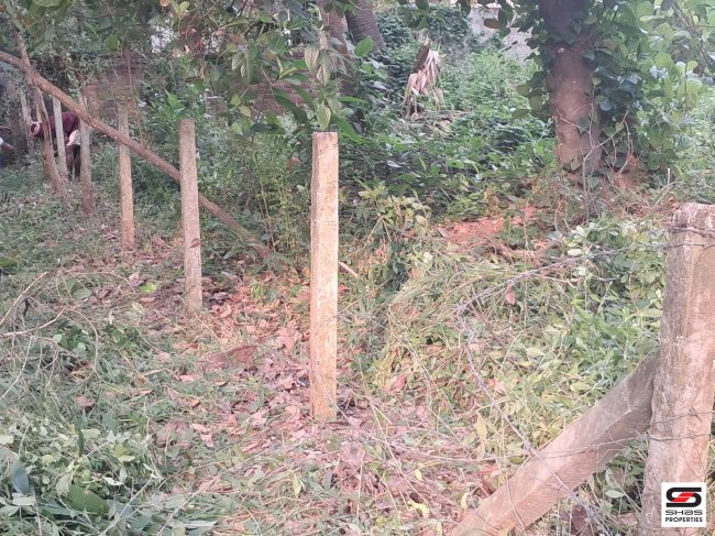 House plots for sale in Kadamkode, Palakkad