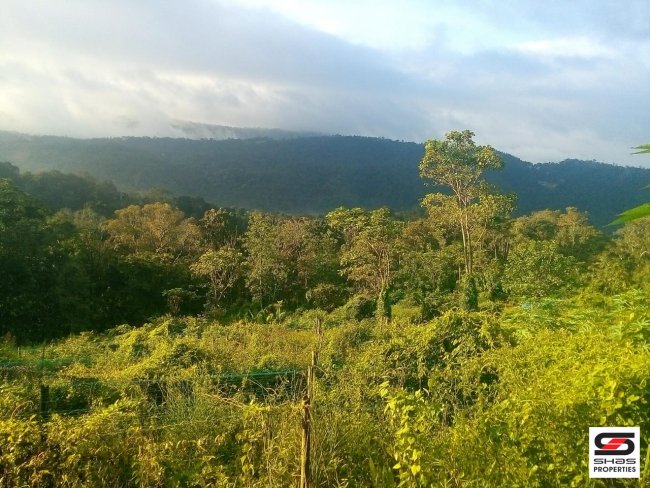 Land for sale in Pottankadu, Idukki