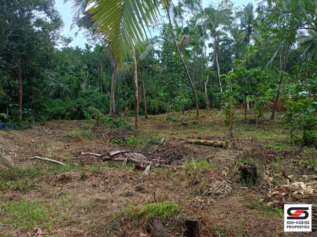 House plot for sale in Pariyaram, Kannur