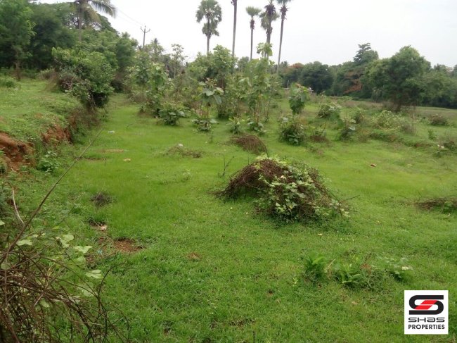 House plot for sale in Kannadi, Palakkad