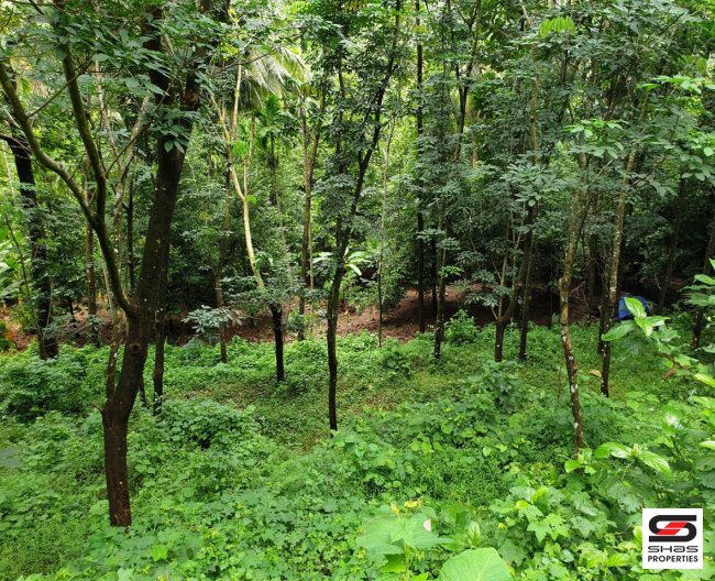 Land for sale in Pattikad, Thrissur