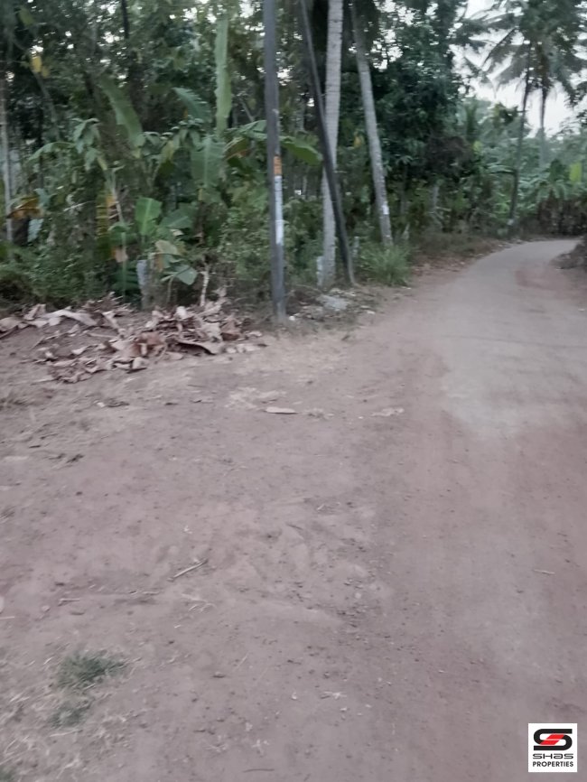 Residential Land for Sale in  Edamulackal, Kollam