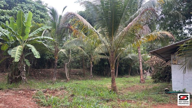 Farmland for sale in Mankara,Palakkad