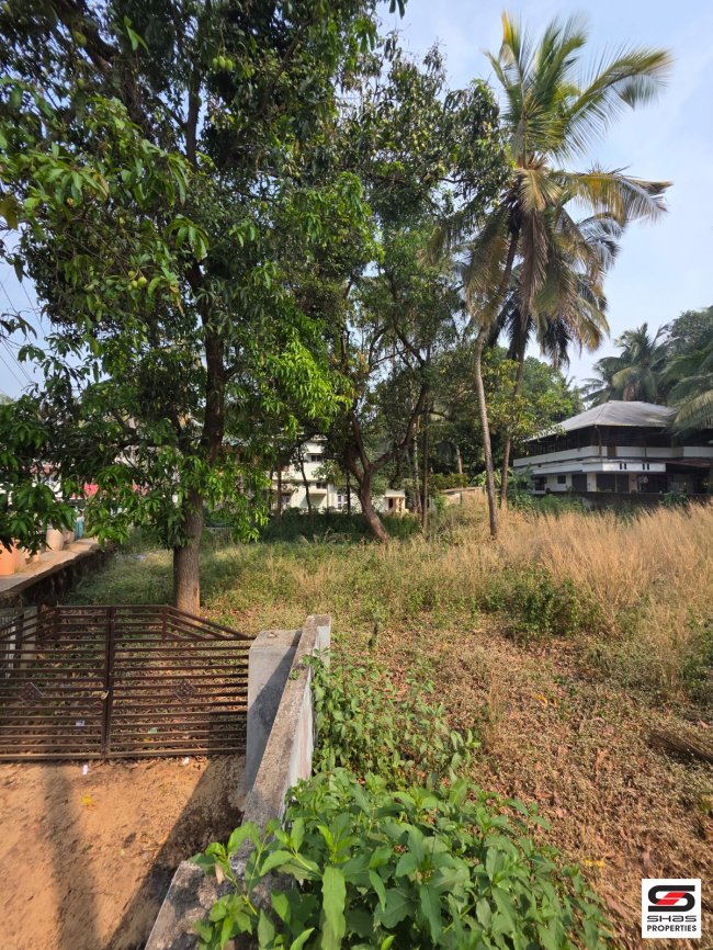 12 Cent Land for Sale in Railway Colony, Palakkad