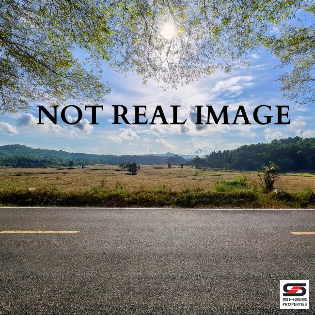 Commercial Plot for Sale in Robinson road, Palakkad