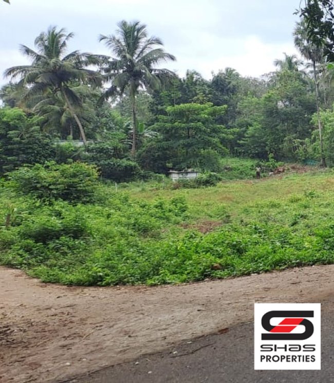 House Plot for Sale in Alathur, Palakkad