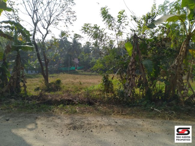 House Plot for Sale in Alathur, Palakkad
