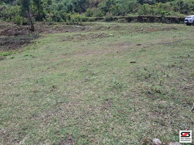 2.25 Acre Farmland for Sale in Attappadi, Palakkad