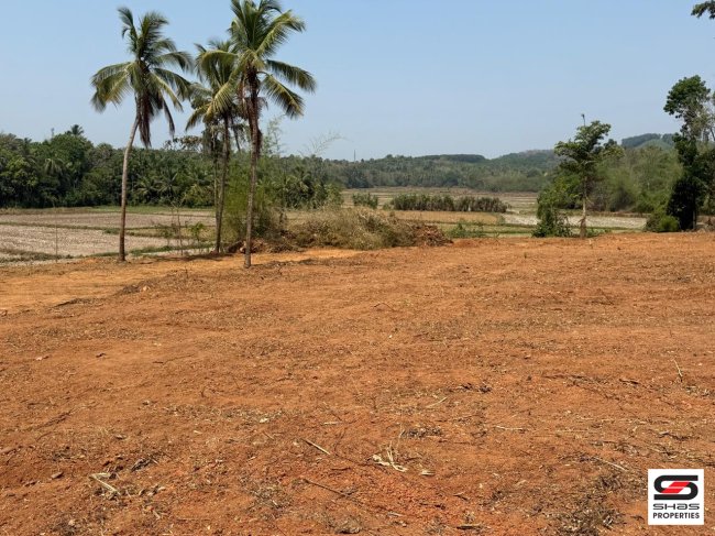 House Plot for Sale in Ottapalam, Palakkad