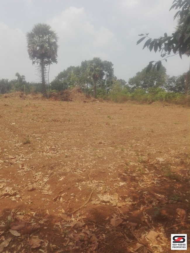 House Plot for Sale in near Keralassery, Palakkad