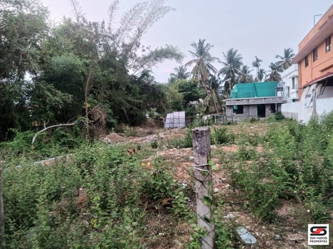 House Plot for Sale in Kenathuparambu, Palakkad