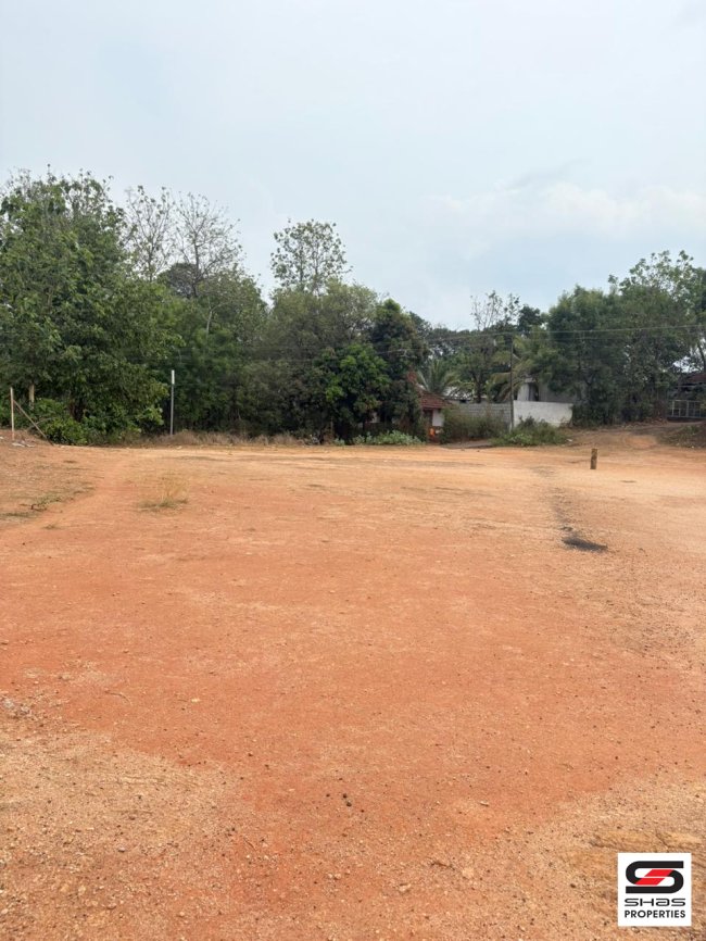 30 cent House Plot for Sale in Puduppariyaram, Palakkad