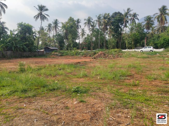 Commercial Land for Sale in Velikkad, Palakkad