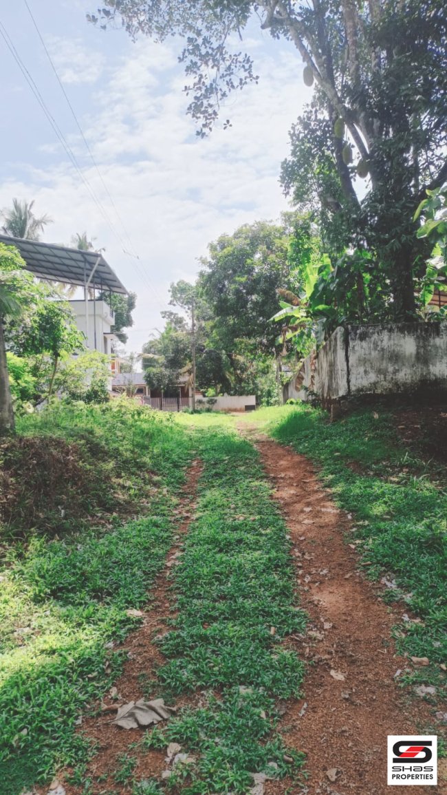 House Plot for Sale in Mavelikara, Alappuzha