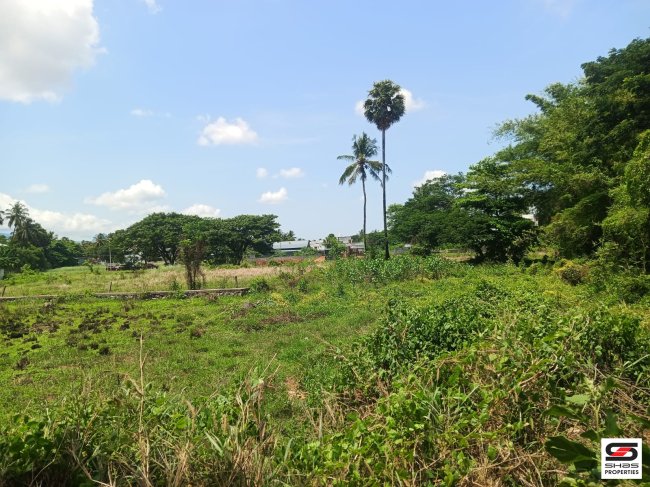 Commercial Plot for Sale in Calicut Bypass Road, Palakkad