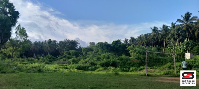 House Plot for Sale in Para, Palakkad