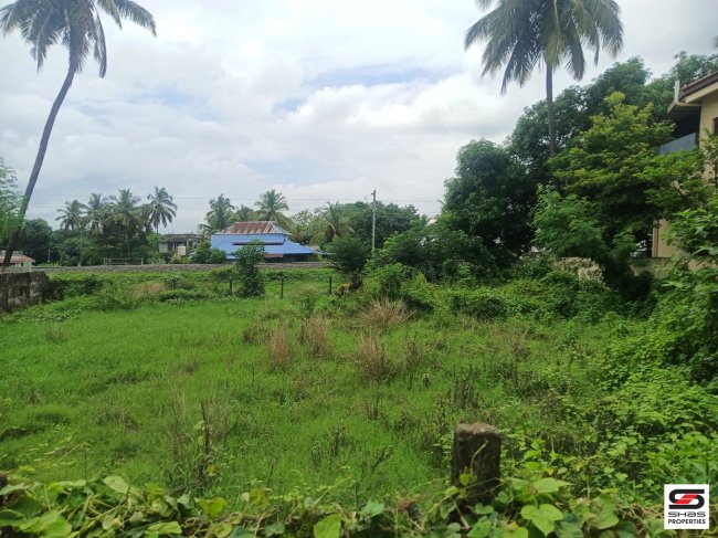 House Plot for Sale in Yakkara, Palakkad