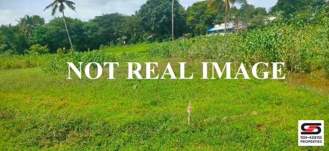 Residential Plot for Sale in Vadakkevila, Kollam