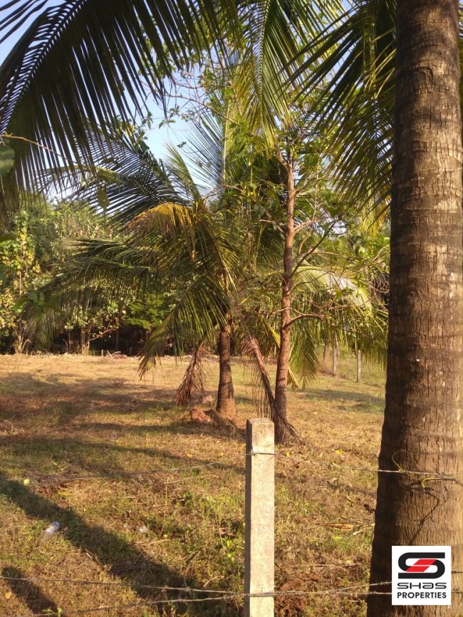House Plot for Sale in Menonpara, Palakkad