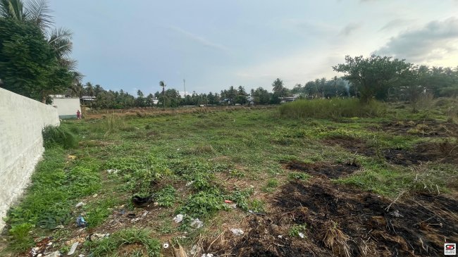 House Plot for Sale in Kuzhalmannam, Palakkad