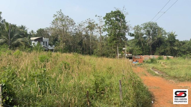 House Plot for Sale in Ottapalam, Palakkad