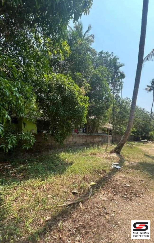 House Plot for Sale in Kanjany, Thrissur