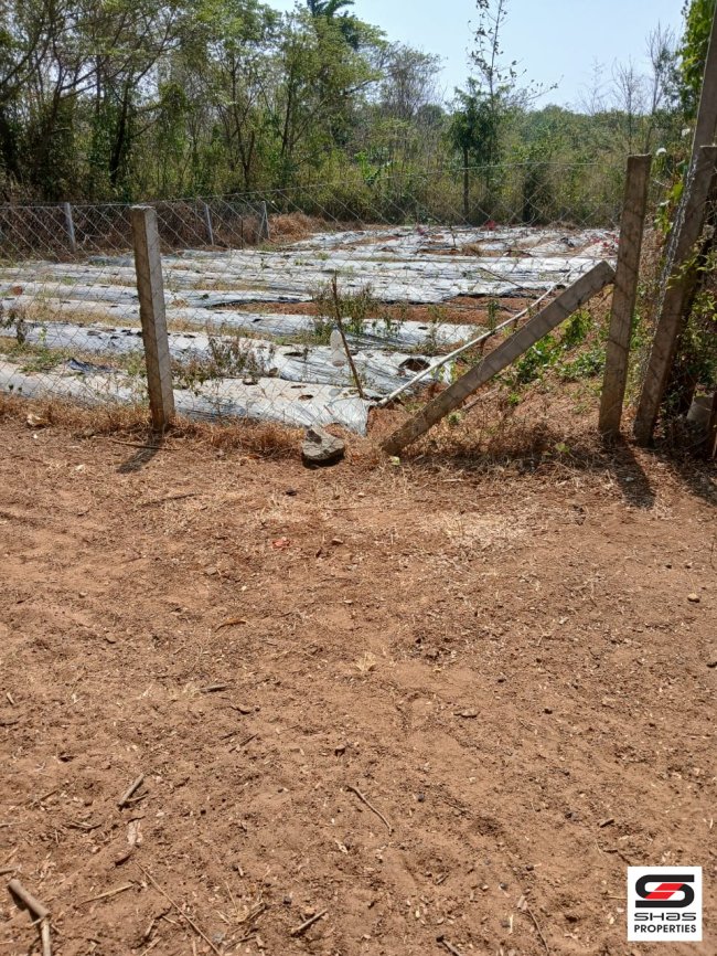 Land for Sale in Anikode, Palakkad