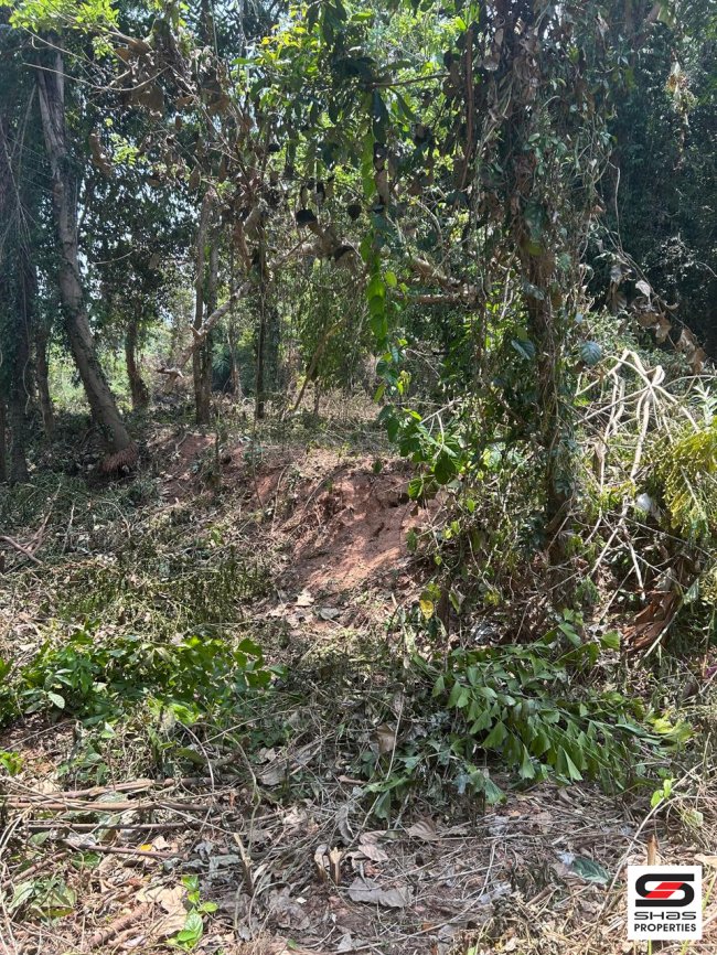 Plot for Sale in near Thalassery, Kannur