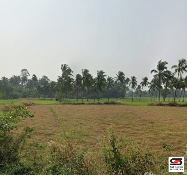 House Plot for Sale in near Thirunellayi, Palakkad