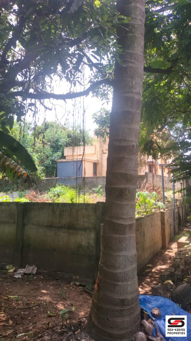 House Plot for Sale in Puthur, Palakkad
