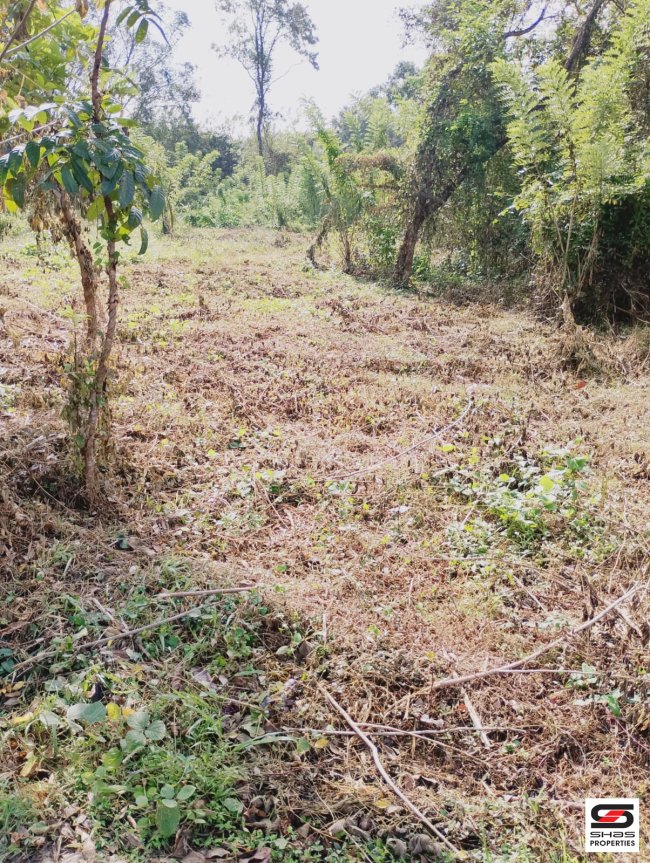House Plot for Sale in Lakkidi, Palakkad