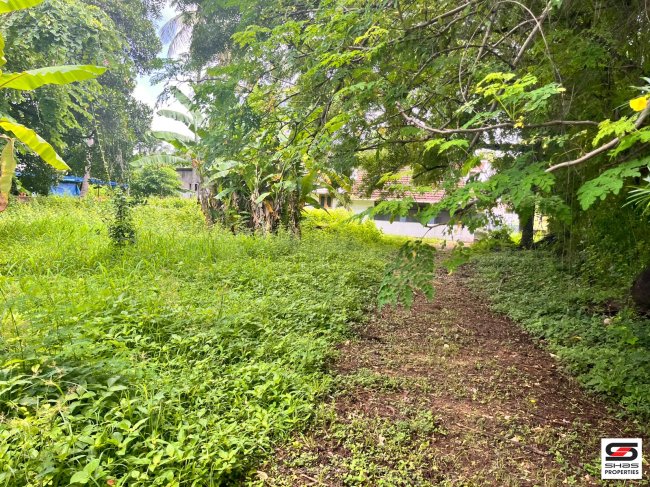 House Plot for Sale in Kollengode, Palakkad