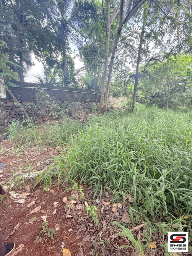 House Plot for Sale in Pattambi, Palakkad