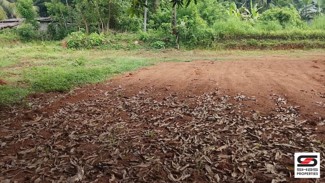 House Plot for Sale in Vaniamkulam, Palakkad
