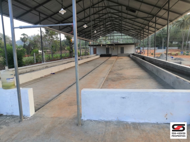 Dairy farm for sale at Vadakkanchery, Thrissur